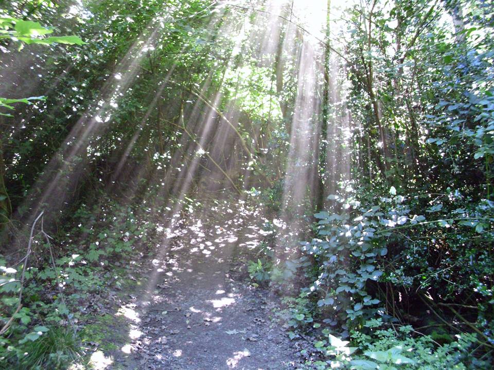 Picture courtesy of Vivienne Tuffnell